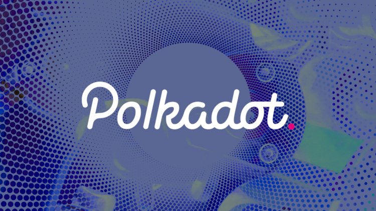 How Does Polkadot Become A Top Ten Crypto Contender? A Deep Dive Into It